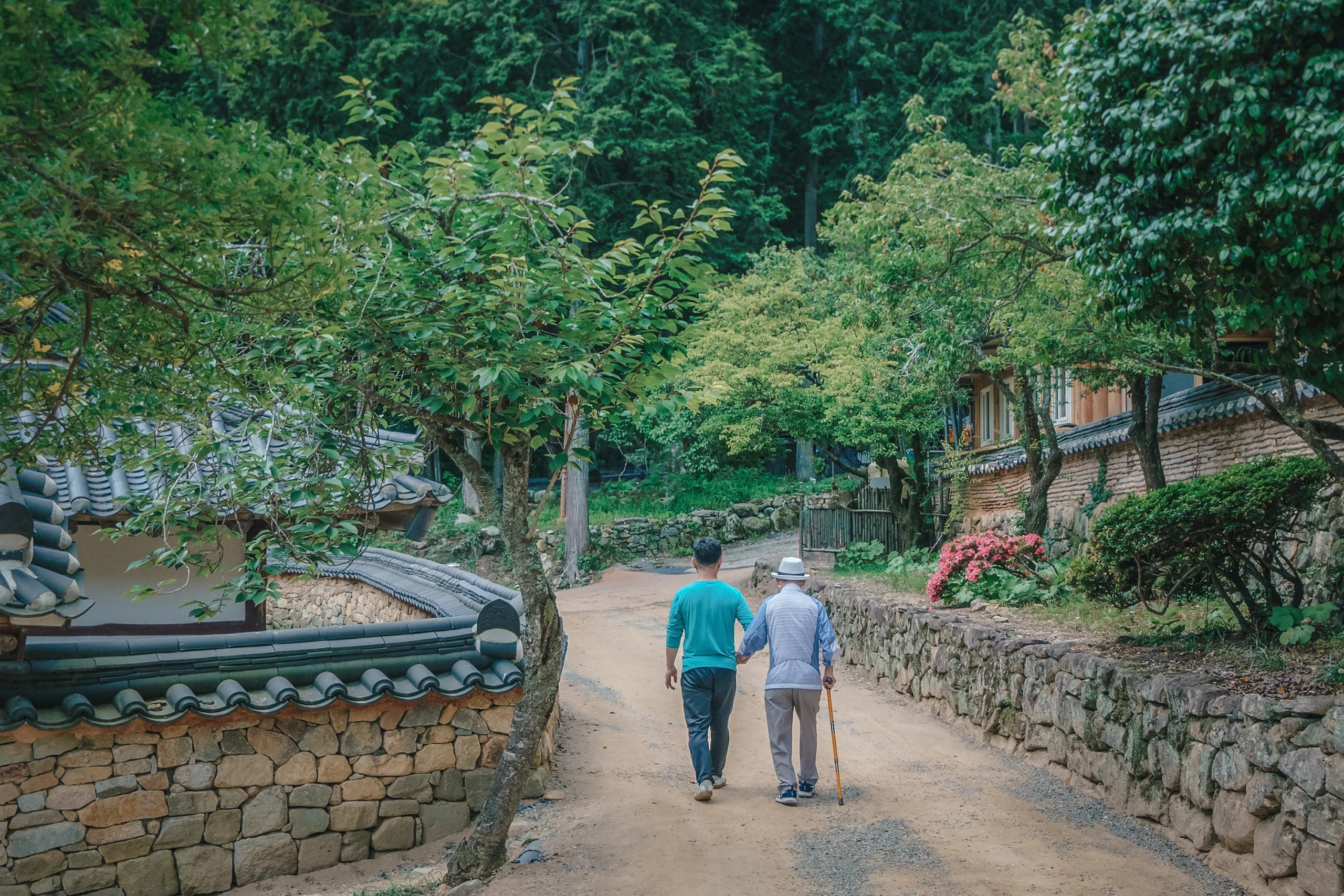 선암사에서 만난 부자. 아들인 듯한 사내가 아버지의 손을 잡고 언덕을 오른다.