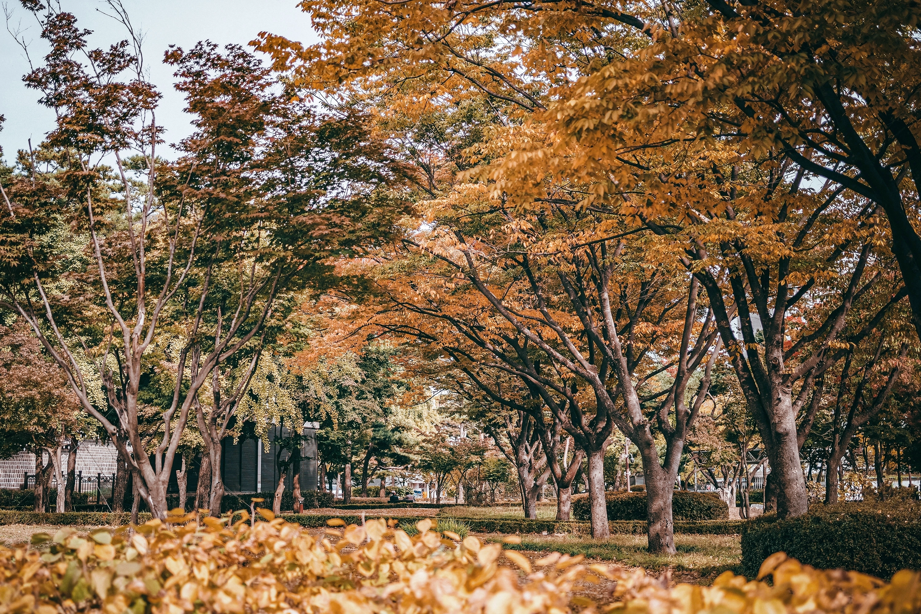 인연 도종환