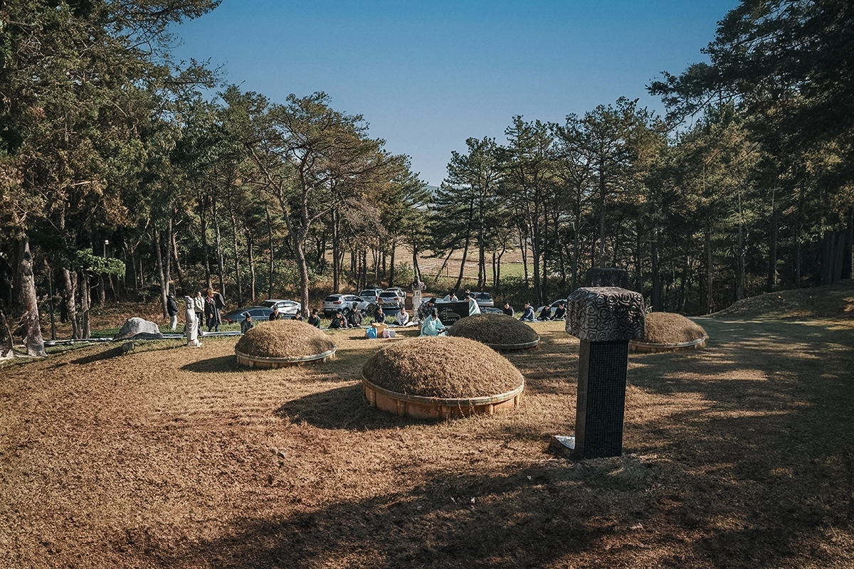 나비의 시간